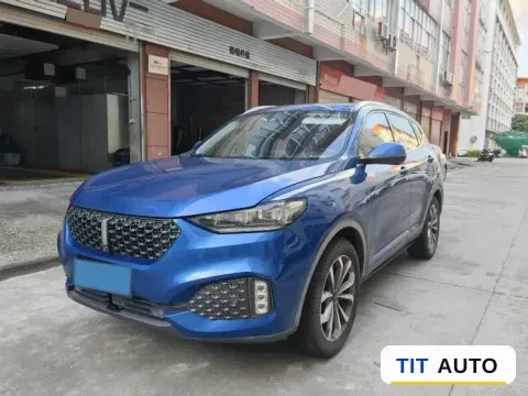 2020 WEY VV6
