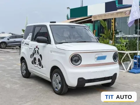 2024 Geely Galaxy Panda 3