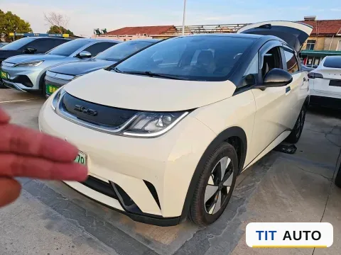 2023 BYD Dolphin
