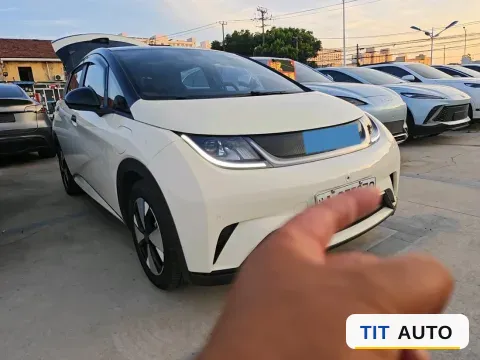 2023 BYD Dolphin 3