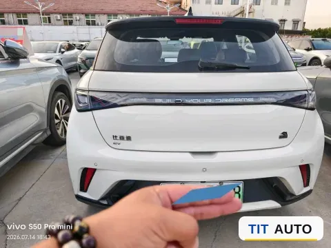 2023 BYD Dolphin 8