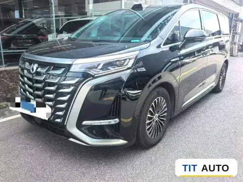 2025 Denza D9
